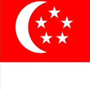 新(xin)加(jia)坡公(gong)司(si)注冊